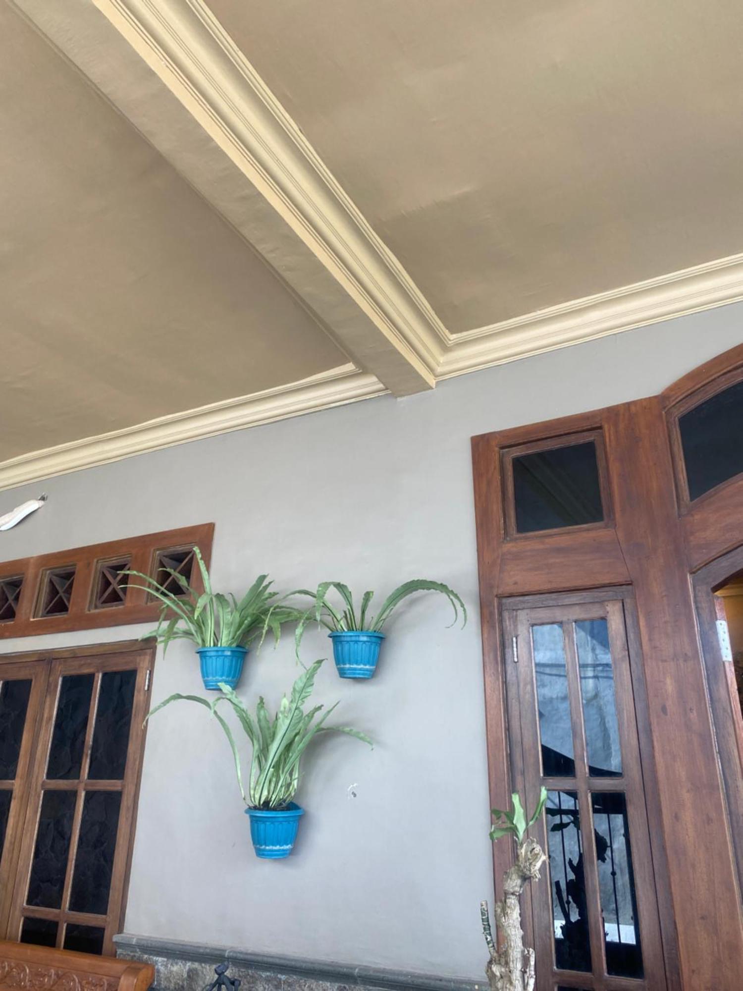 Good Feeling Banyuwangi Hostel Banyuwangi  Exterior photo